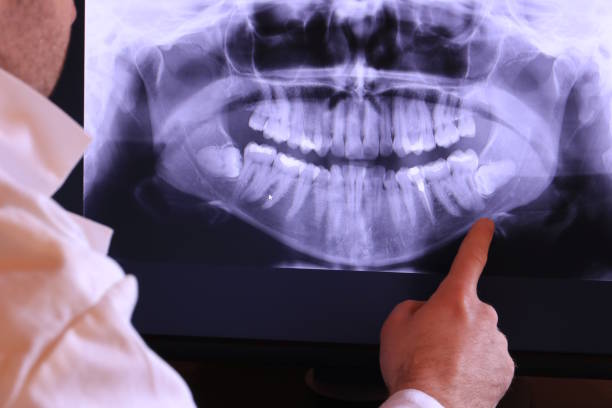 Best Emergency X-Rays and Diagnostics in St Helena, CA